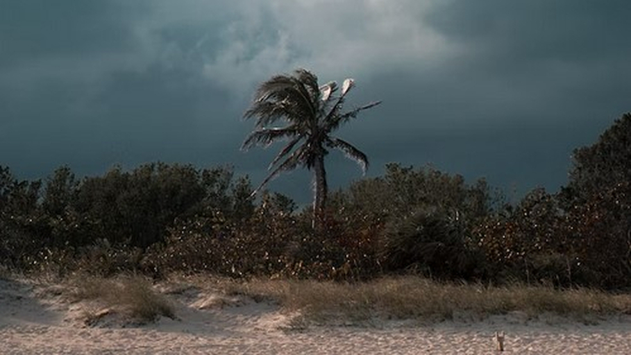 Florida Storm