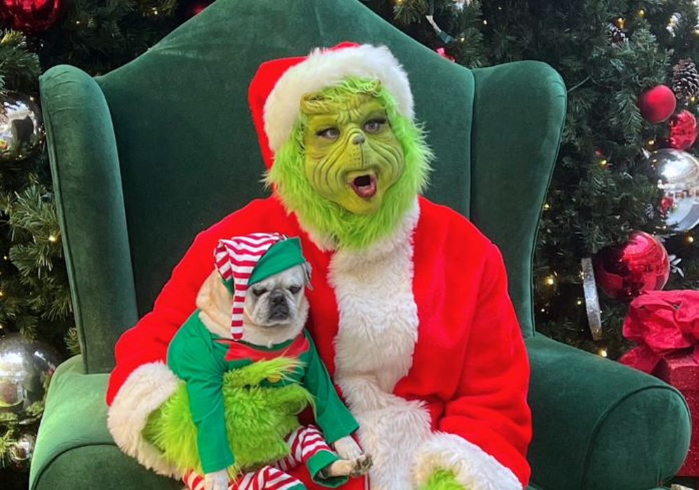 Grinch And Pup