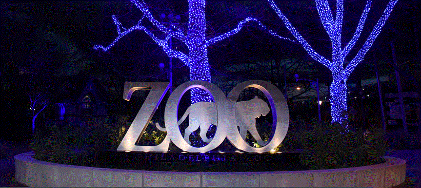 Philadelphia Zoo Debuts New Blue Light Display 