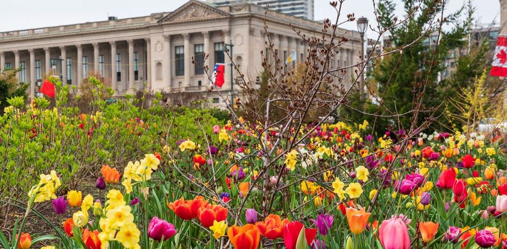 110,000-bulb's Planted Along The Ben Franklin Parkway 