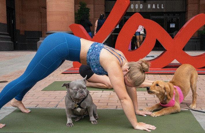 Puppy Yoga Class Benefitting Philadelphia-based Animal Shelter